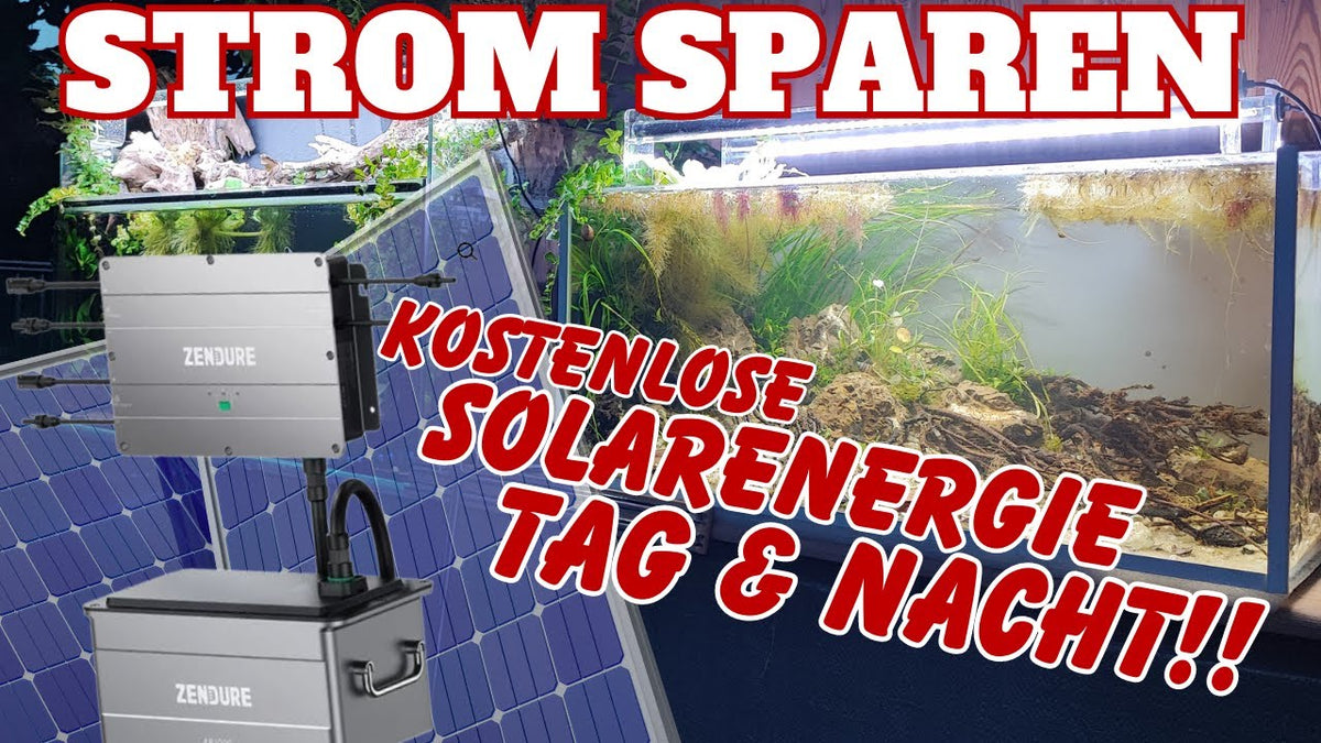 KOSTENLOSER SOLARSTROM für deine AQUARIEN Tag & Nacht
